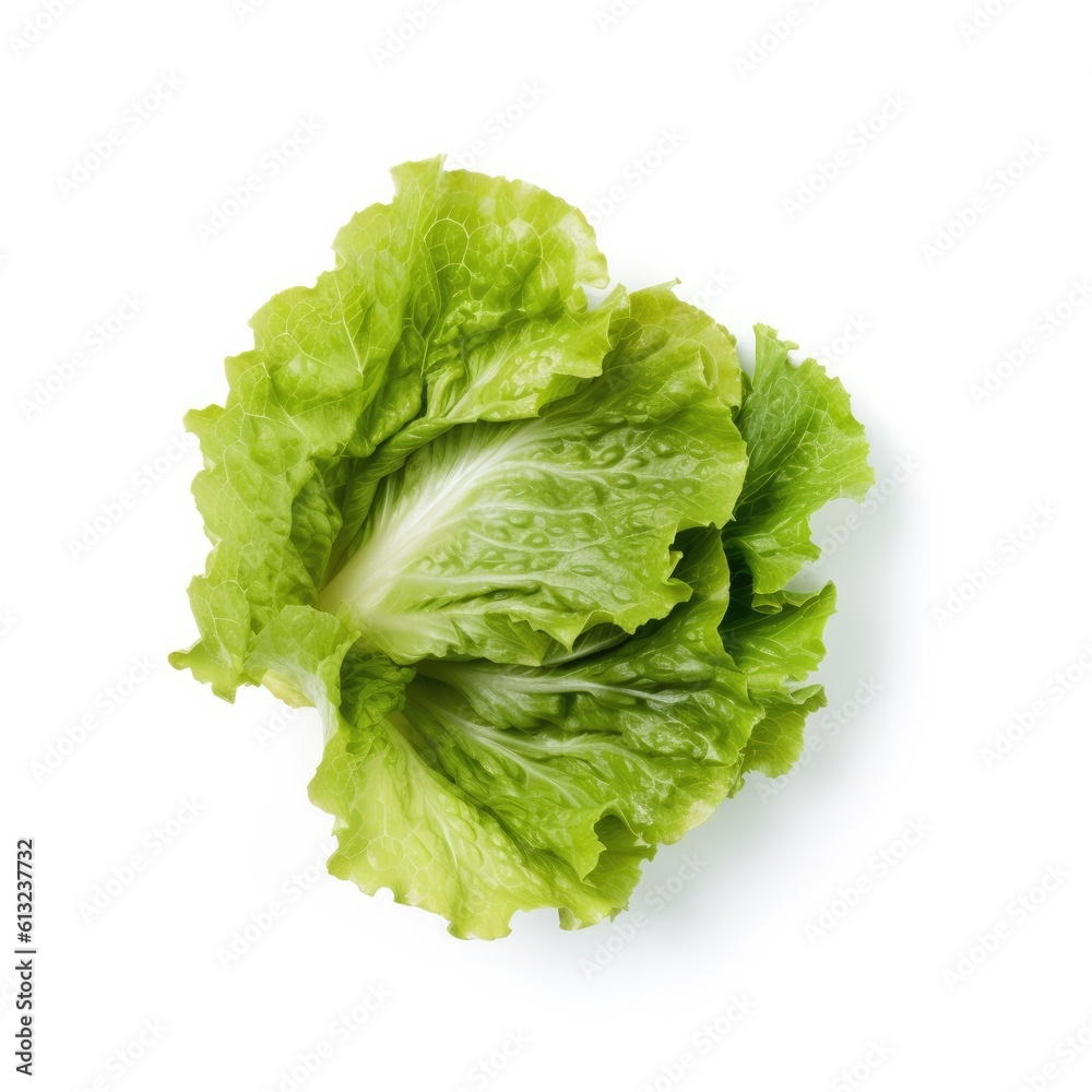 Iceberg lettuce leaf isolated on white background. Generative AI Iceberg lettuce leaf isolated on white background. Generative AI