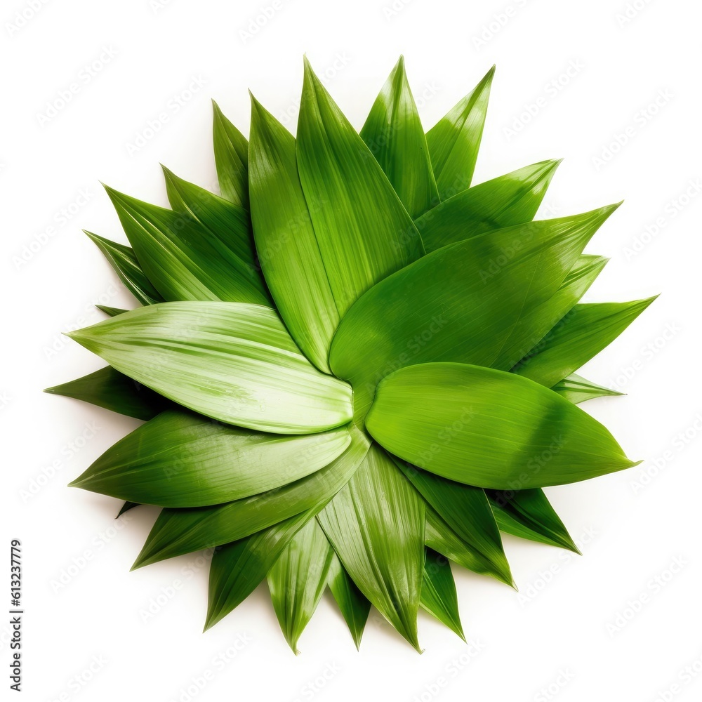 Pandan leaf isolated on white background. Generative AI Pandan leaf isolated on white background. Generative AI