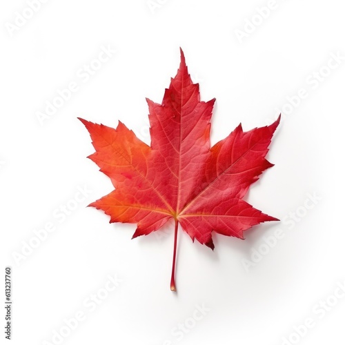 Maple leaf isolated on white background. Generative AI