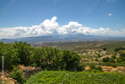 Fototapeta Naklejka Na Ścianę i Meble -  View of olive groves and countryside in Úbeda, Jaén province, Andalusia, Spain. The olive groves of the Sierra de Cazorla are a captivating spectacle to behold.