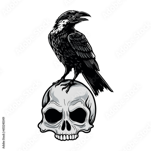 Crow on skull isolated on white. Hand drawn vector illustration