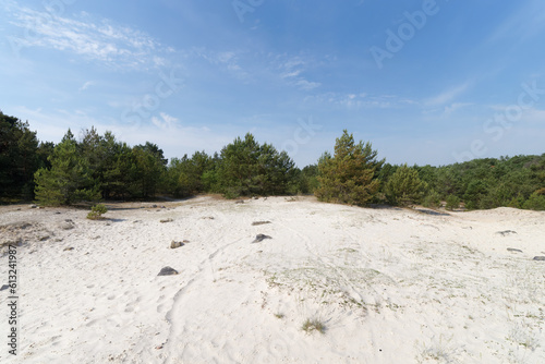 White sand of the Mont Blanc hill in Fontainebleau forest. Larchant village 