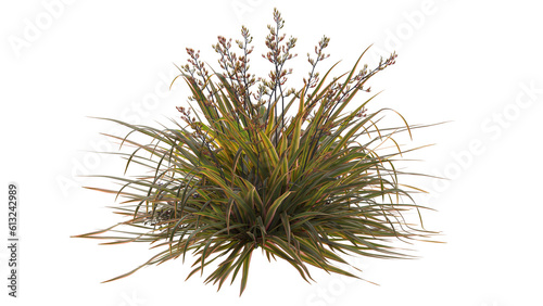 Various types of flowers grass bushes shrub and small plants isolated