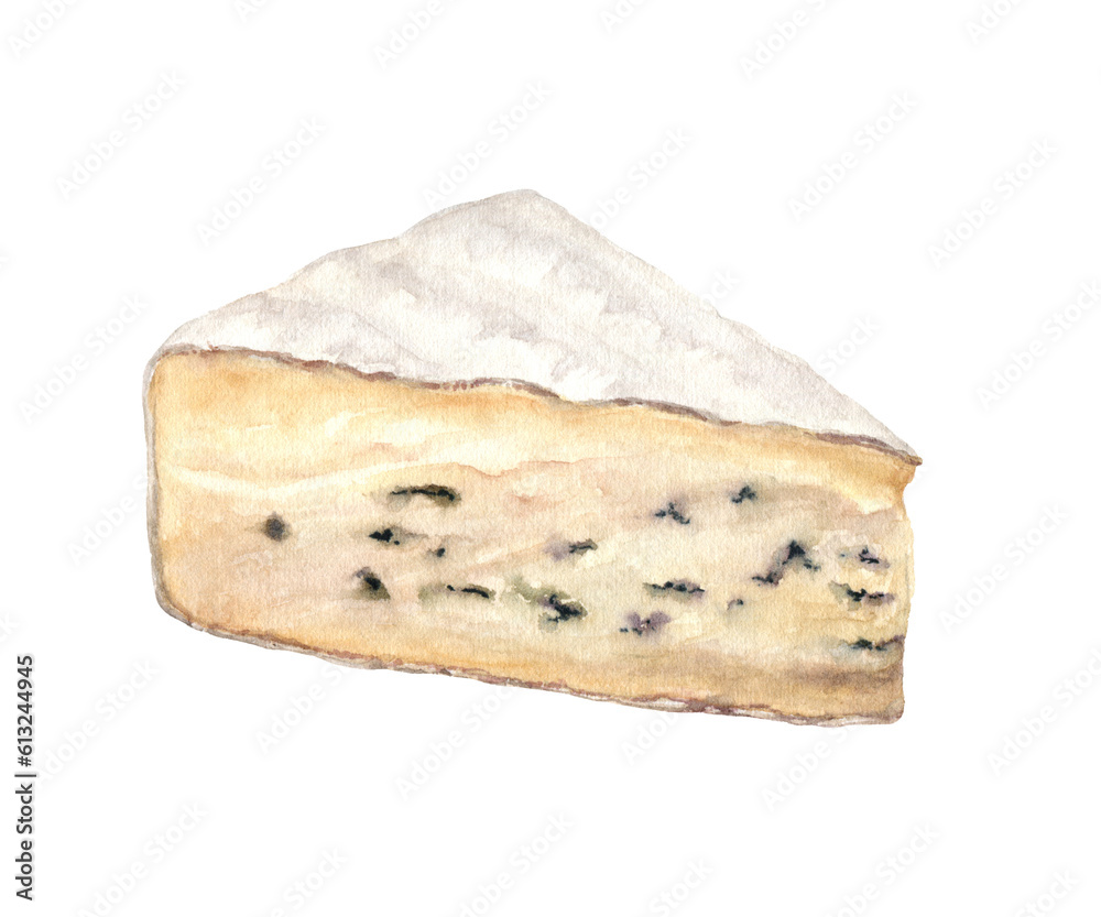 Piece of Brie cheese isolated on white background. Watercolor illustration.