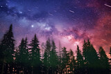 Landscape Forest Sky at Night