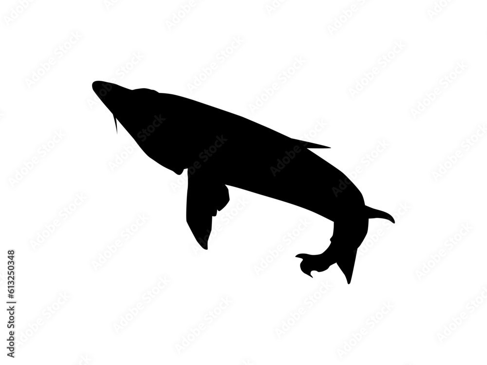 Beluga Sturgeon or Huso Fish Silhouette, Fish Which Produce Premium and Expensive Caviar, For Logo Type, Art Illustration, Pictogram, Apps, Website or Graphic Design Element. Vector Illustration