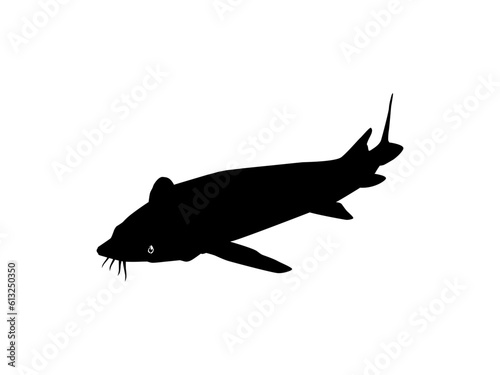 Beluga Sturgeon or Huso Fish Silhouette, Fish Which Produce Premium and Expensive Caviar, For Logo Type, Art Illustration, Pictogram, Apps, Website or Graphic Design Element. Vector Illustration