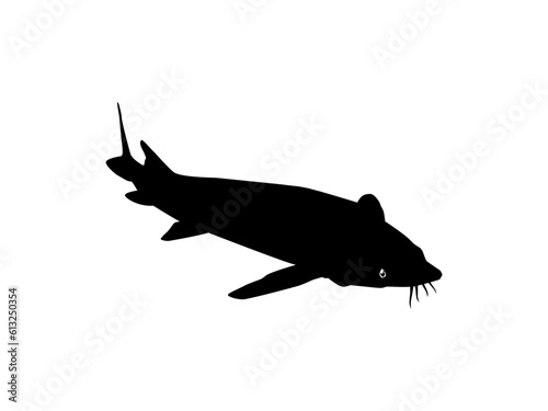 Beluga Sturgeon or Huso Fish Silhouette, Fish Which Produce Premium and Expensive Caviar, For Logo Type, Art Illustration, Pictogram, Apps, Website or Graphic Design Element. Vector Illustration