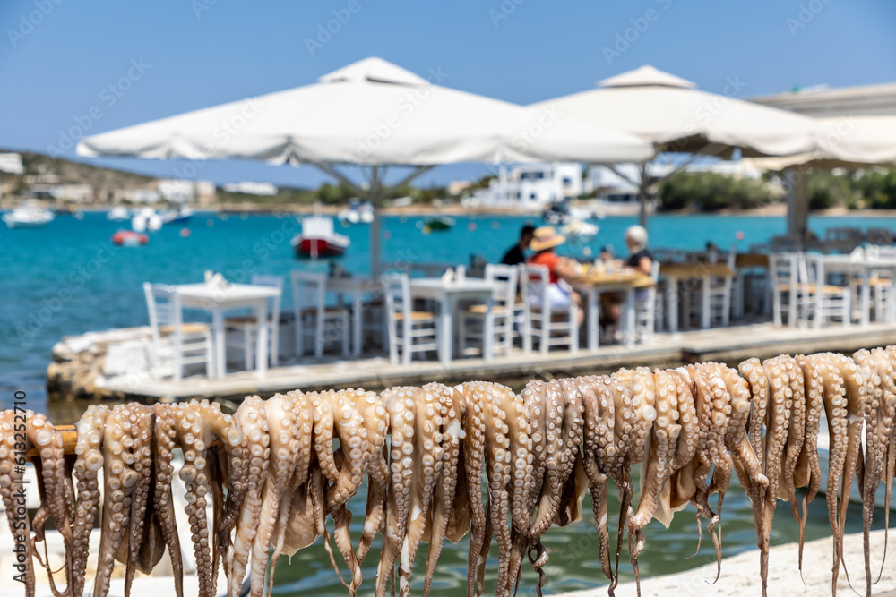 Octopus drying in the sun outside a taverna on the island Paros, Greece