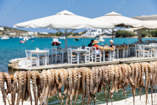 Obraz na płótnie Octopus drying in the sun outside a taverna on the island Paros, Greece w salonie