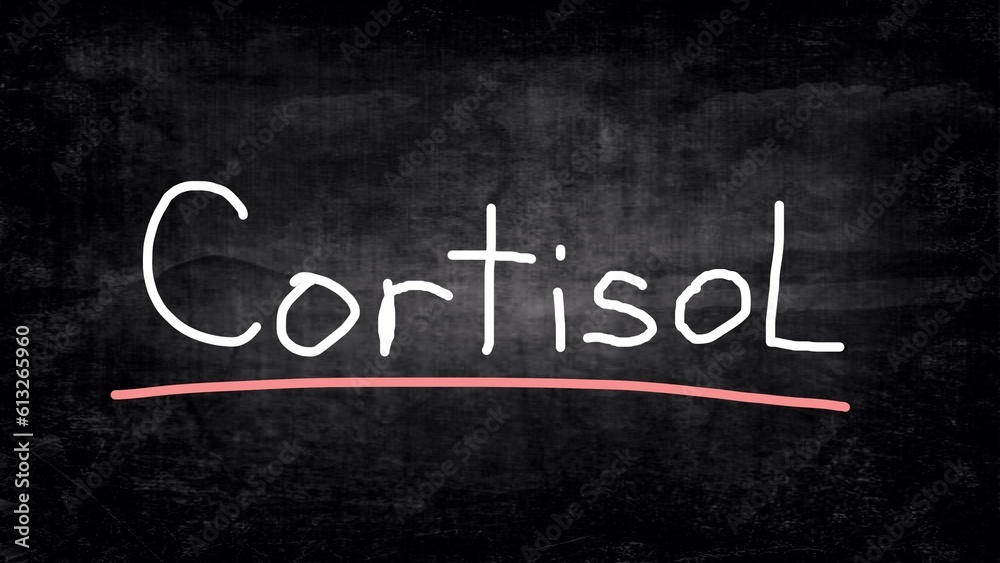 Obraz premium Cortisol. Cortisol secretion 