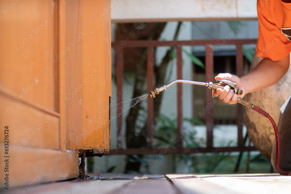 man chose to use exterminate chemicals Termites that are not toxic to ...