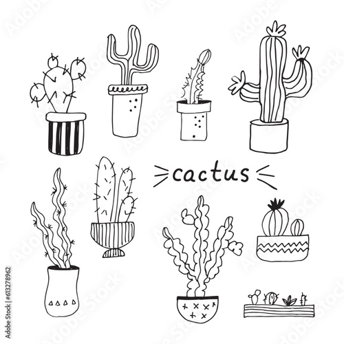 Cacti different types doodle illustration hand drawn. Сactus home plant minimal style with lettering design element for flower shop, poster, background, template, card, logo