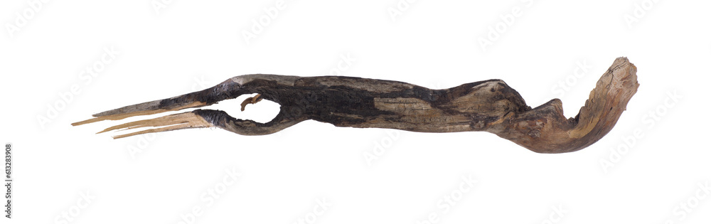 dried wooden root snag isolated on white background
