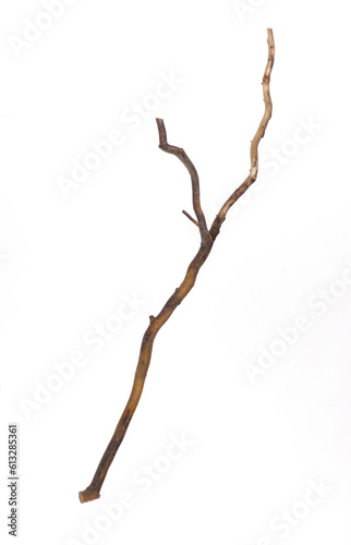 wooden curve stick isolated on white background