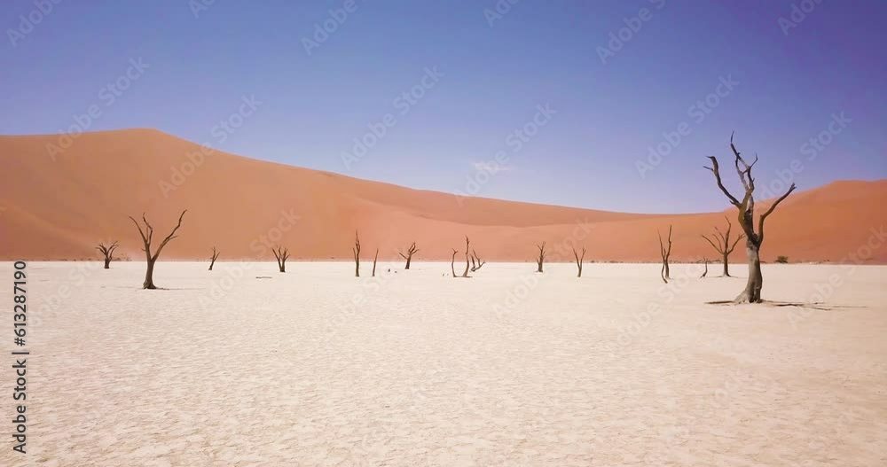 4K Aerial drone footage of dead acacia trees in Deadvlei. Dry clay pan with red desert sand dunes in Sossusvlei or Sesriem in Namibia. Namib Desert and Big Daddy dune. Cinematic High quality footage.