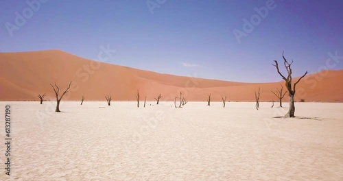 4K Aerial drone footage of dead acacia trees in Deadvlei. Dry clay pan with red desert sand dunes in Sossusvlei or Sesriem in Namibia. Namib Desert and Big Daddy dune. Cinematic High quality footage.