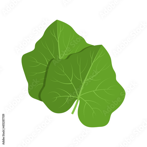 Vector illustration of pumpkin leaves