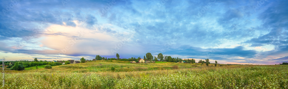 Panoramic view on rural landscape at summer evening