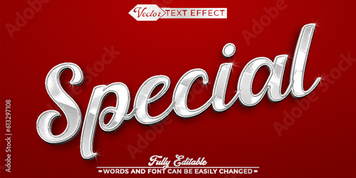 Custom Special Silver Vector Editable Text Effect Template