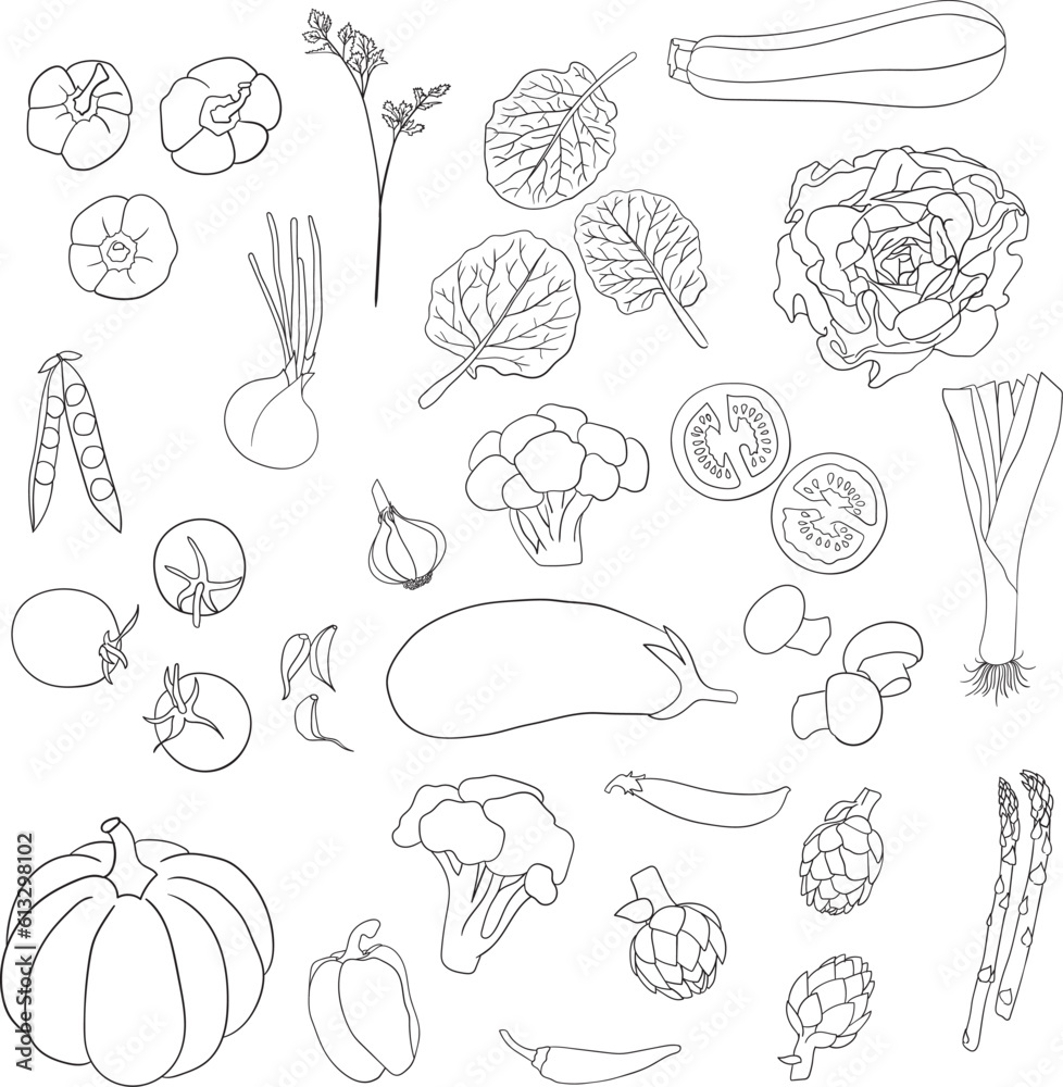 Black line hand-drawn vegetable vector isolated 