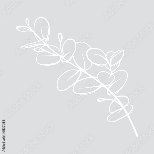 White sprig evcaliptus line drawing on beige background. Floral outline illustration