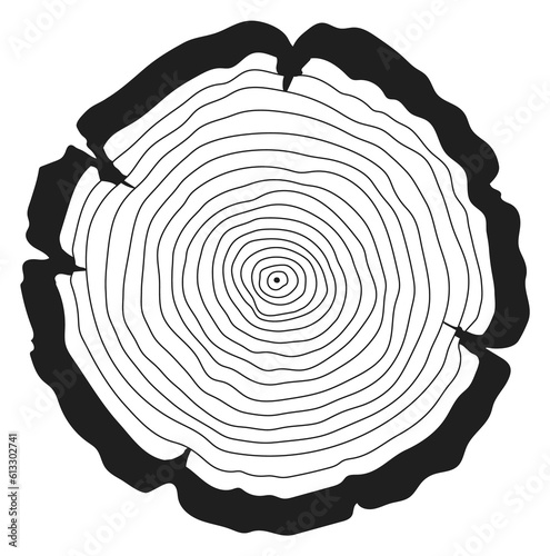 Wood rings. Black linear cut. Monochrome log