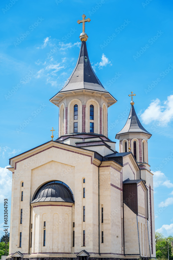 Fototapeta premium Episcopal Cathedral of the Lord Resurrection in Oradea, Romania