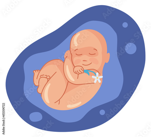 Baby sleeping in womb and smiling. Happy cartoon embryo