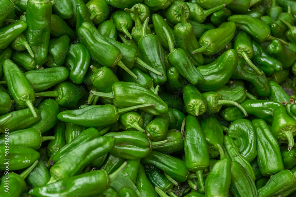 Background of spanish fresh juicy green pepper.