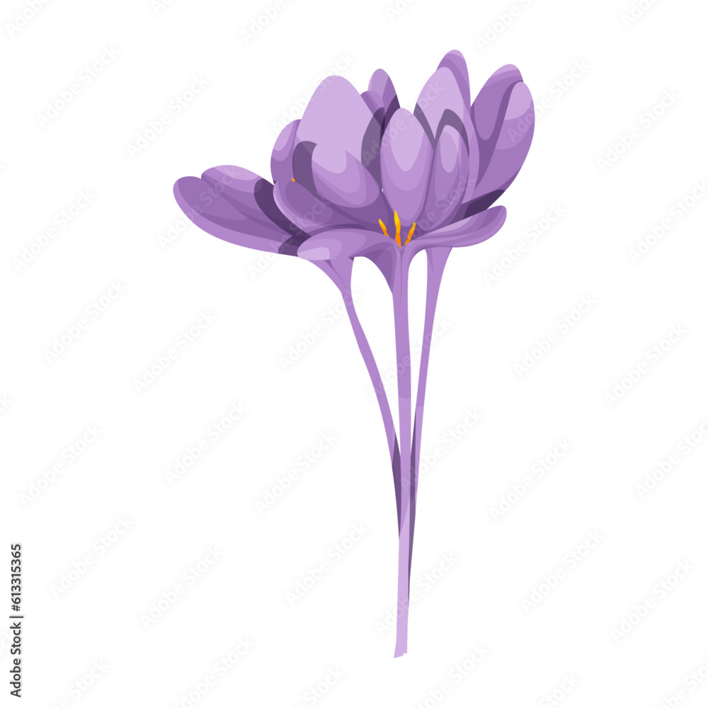 Naklejka premium Watercolor botanic blossom floral element. Wild plant, flower. Garden and wild foliage, flowers, branches. Isolated vector illustration EPS10