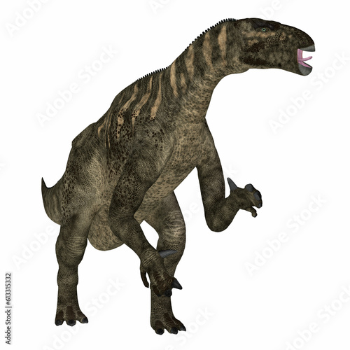 Iguanodon Cretaceous Dinosaur - Iguanodon was a herbivorous ornithopod dinosaur that lived in Europe during the Cretaceous Period. © Catmando