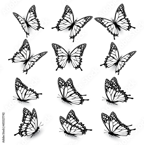 butterfly silhouette, group of butterflies, wildlife, black and white