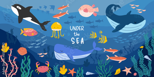 Set of sea and ocean underwater animals. Cute fish and wild marine cartoon animals. Undersea world. Whale, sperm and killer whale, fish, algae, shells,coral, jellyfish, crab. Drawings for banner, card © Hanna Perelygina