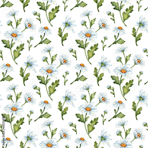 White daisies patten isolated on white background. Freehand watercolor drawing, botanical illustration. Great pattern for kitchen, home decor, stationery, wedding invitations and clothing printing. © AliCris