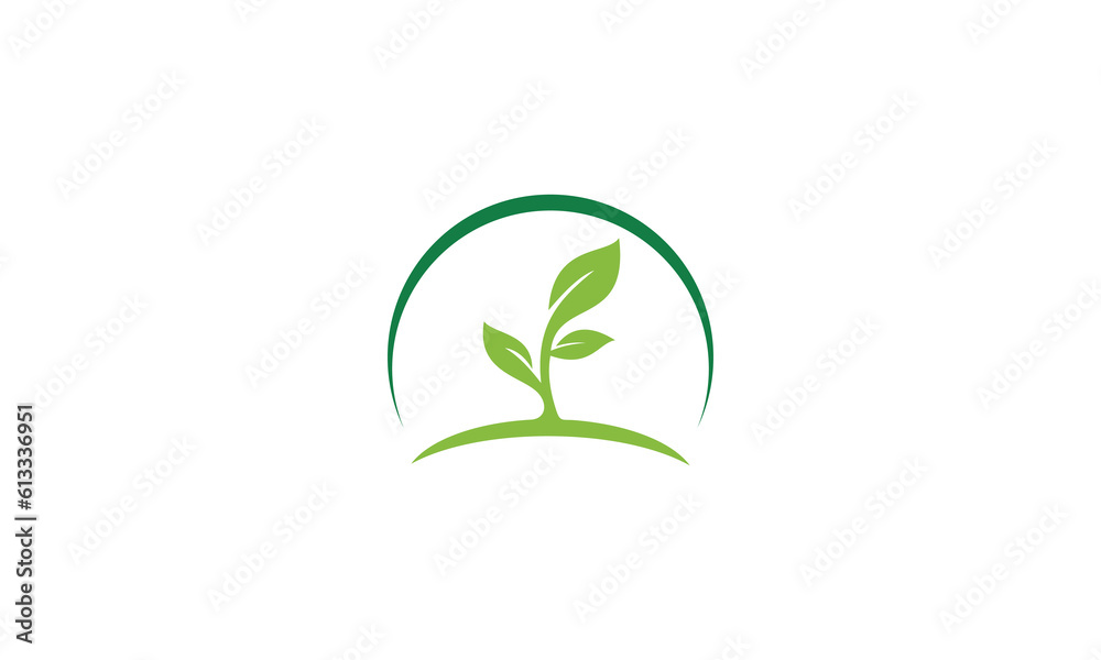 green plant in a circle green plant in a circle