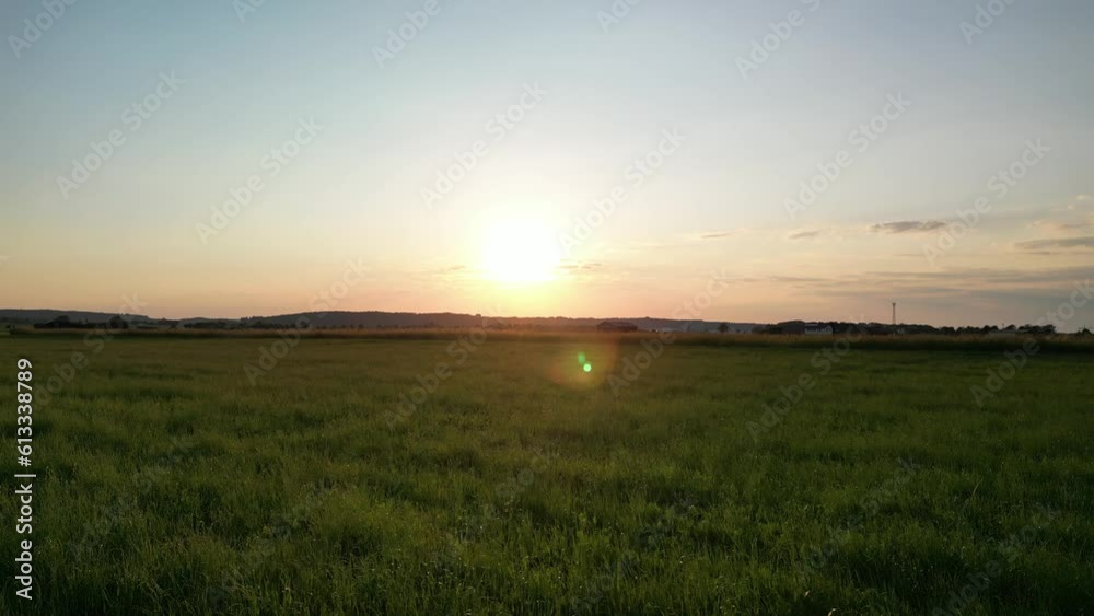 Germany, Bavaria, Allgaeu, drone flight over the meadow in the sunset Germany, Bavaria, Allgaeu, drone flight over the meadow in the sunset