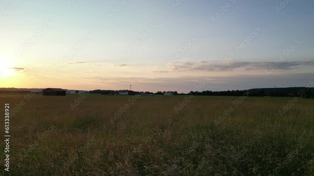 Germany, Bavaria, Allgaeu, drone flight over the meadow in the sunset Germany, Bavaria, Allgaeu, drone flight over the meadow in the sunset