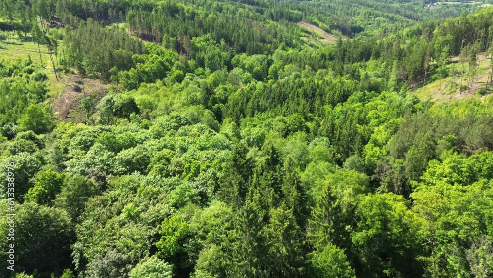 Aerial Serenity: Captivating Drone Flight Over Nature's Canopy, middle Europe forest fly