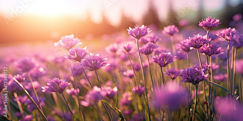 Purple flowers in a field in the sunlight. Generative AI