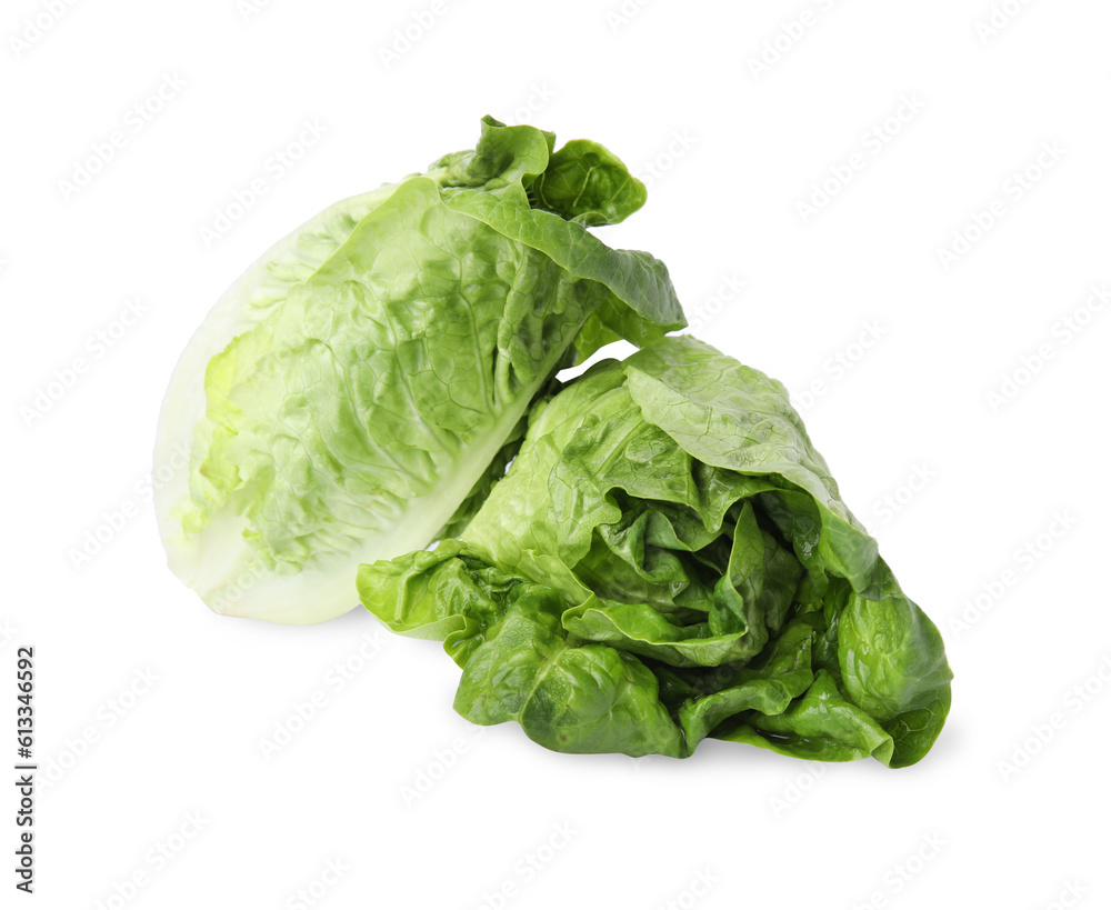 Fresh green romaine lettuces isolated on white Fresh green romaine lettuces isolated on white