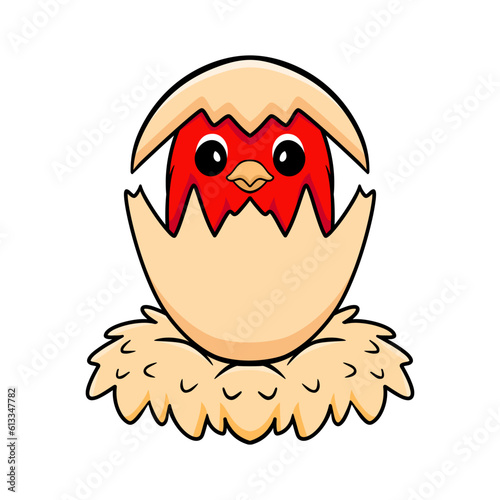Cute red suffusion lovebird cartoon inside from egg