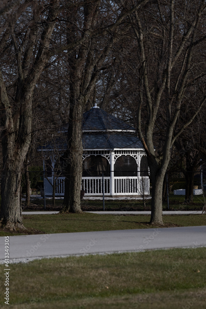 Fototapeta premium park in the city