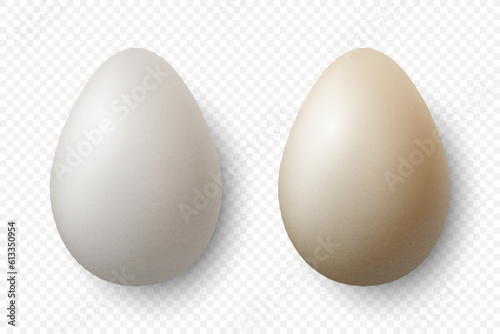 Vector 3d Realistic White Chicken Eggs Closeup Isolated. Textured Chicken Egg Set. Vector Different Color Whole Eggs. Egg in Front, Top View