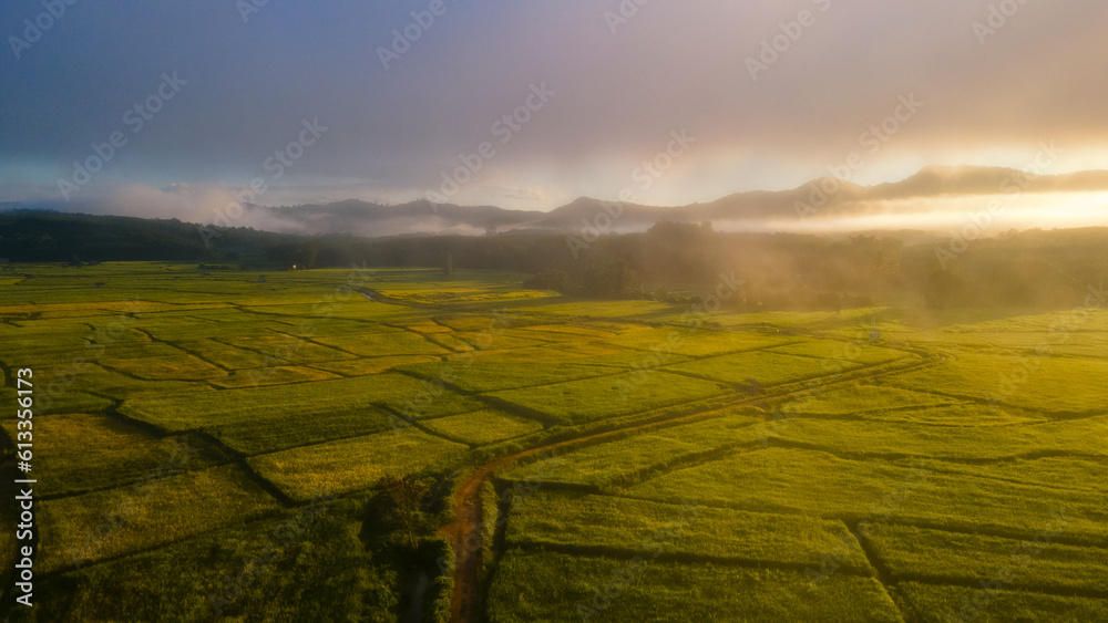 Panorama shot from drone angle, blurred background. Fields that are green, yellow, gold, in the morning, thick fog, orange sunlight. Shines in rice fields in rainy season, Nan, Thailand