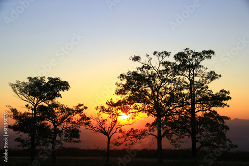 Silhouette sky sunset have the trees background of beautiful.