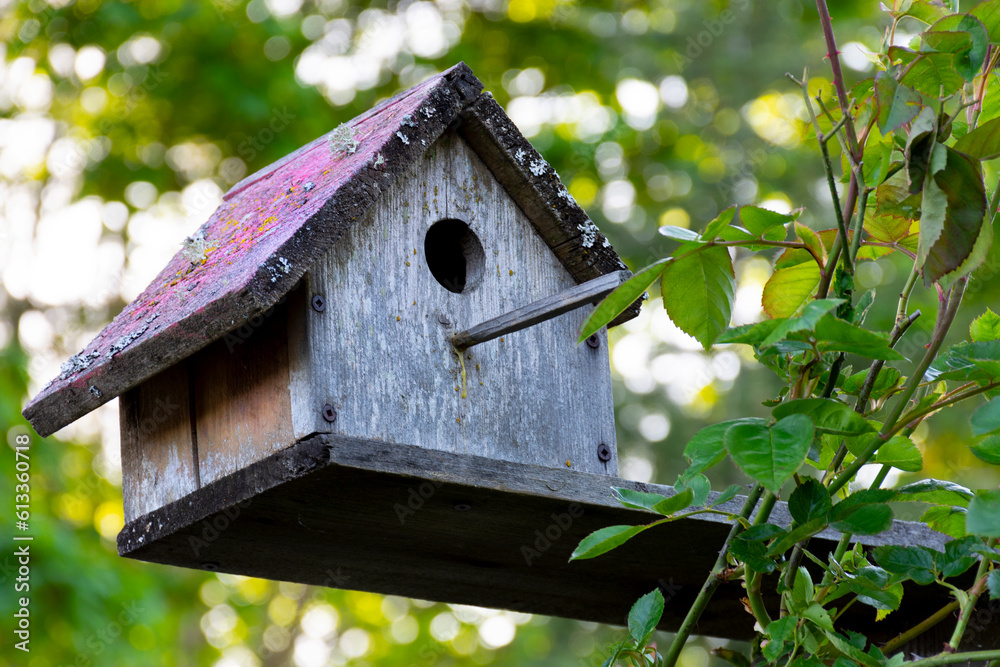 An image of an old retro styled bird house with sun bleached and faded wood. An image of an old retro styled bird house with sun bleached and faded wood.