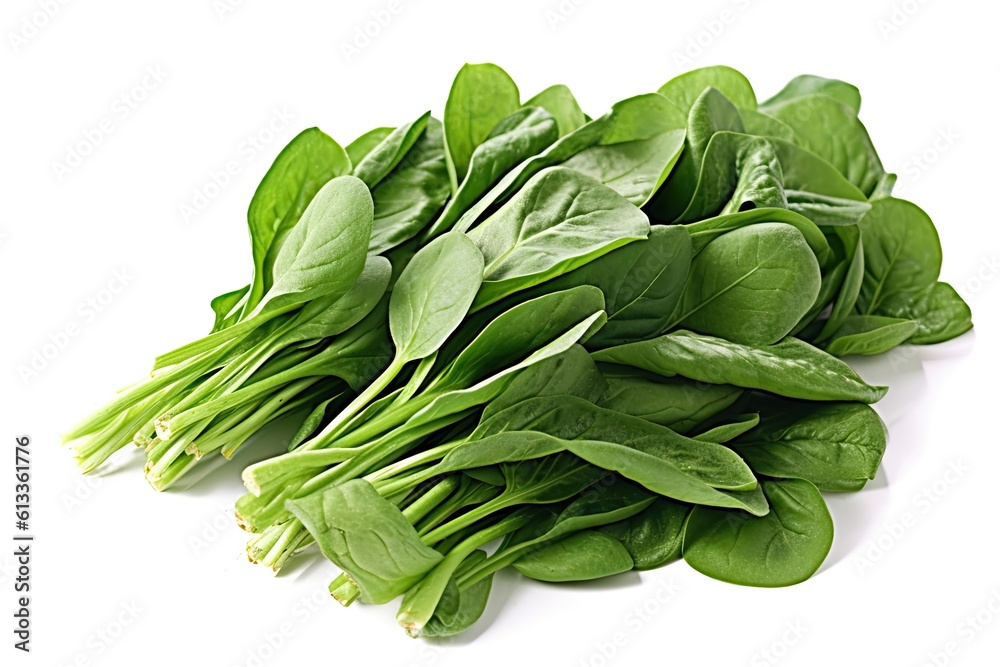 A Bunch Of Green Spinach Vegetable On White Background A Bunch Of Green Spinach Vegetable On White Background