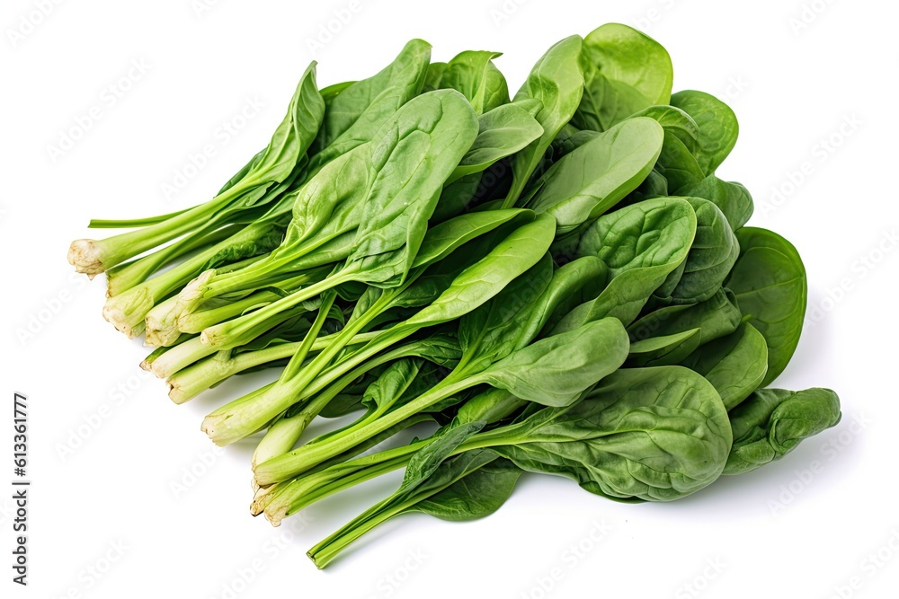 A Bunch Of Green Spinach Vegetable On White Background A Bunch Of Green Spinach Vegetable On White Background