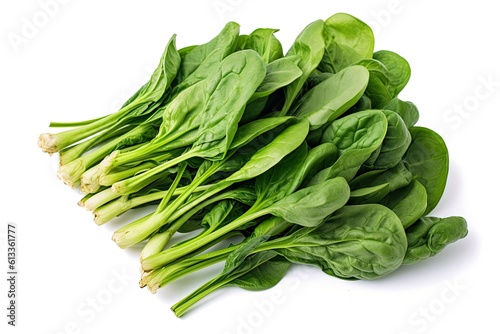 A Bunch Of Green Spinach Vegetable On White Background